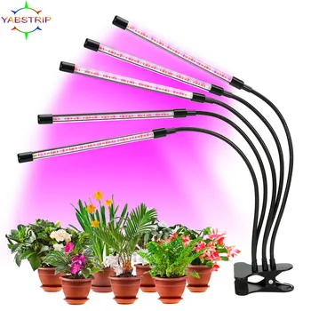 5V usb LED Grow Light Фитолампа полного спектра Для выращивания комнатных овощей, цветов, Палатки для растений, Саженцев, Семян, Фито-света