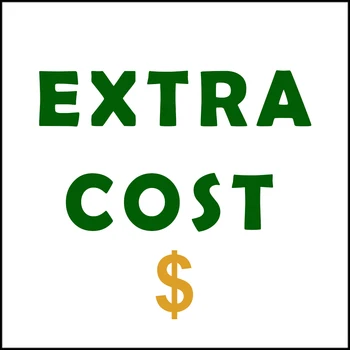 Специальная ссылка для оплаты дополнительной стоимости доставки или дополнительной оплаты при заказе Стандартной или обычной доставки